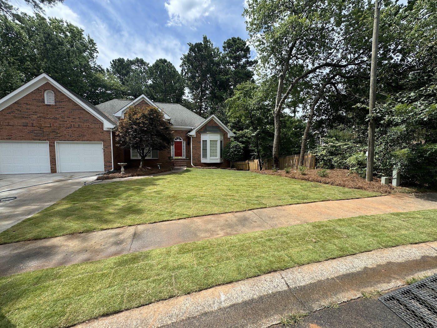 Front yard and walkway