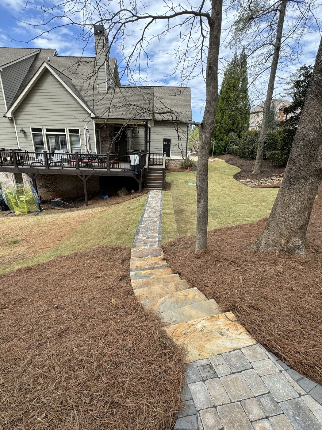 Stone path through a wooded yard